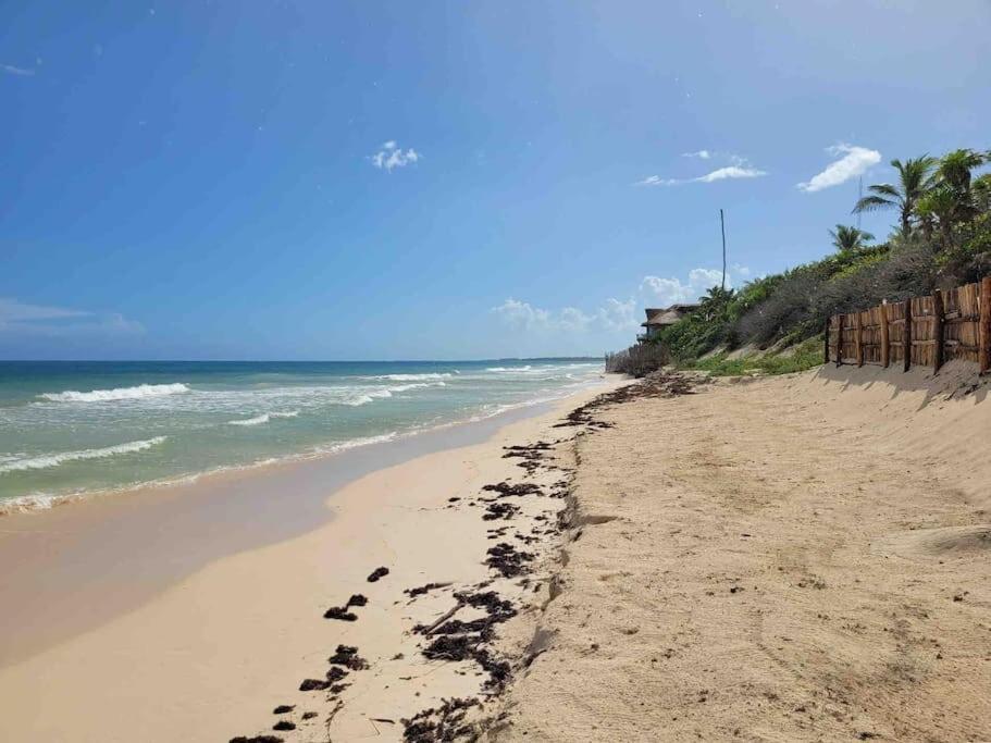 Luxury 5-Br Beachfront Home In Tulum Casa Sofia Gato Zewnętrze zdjęcie