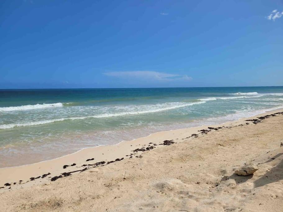 Luxury 5-Br Beachfront Home In Tulum Casa Sofia Gato Zewnętrze zdjęcie