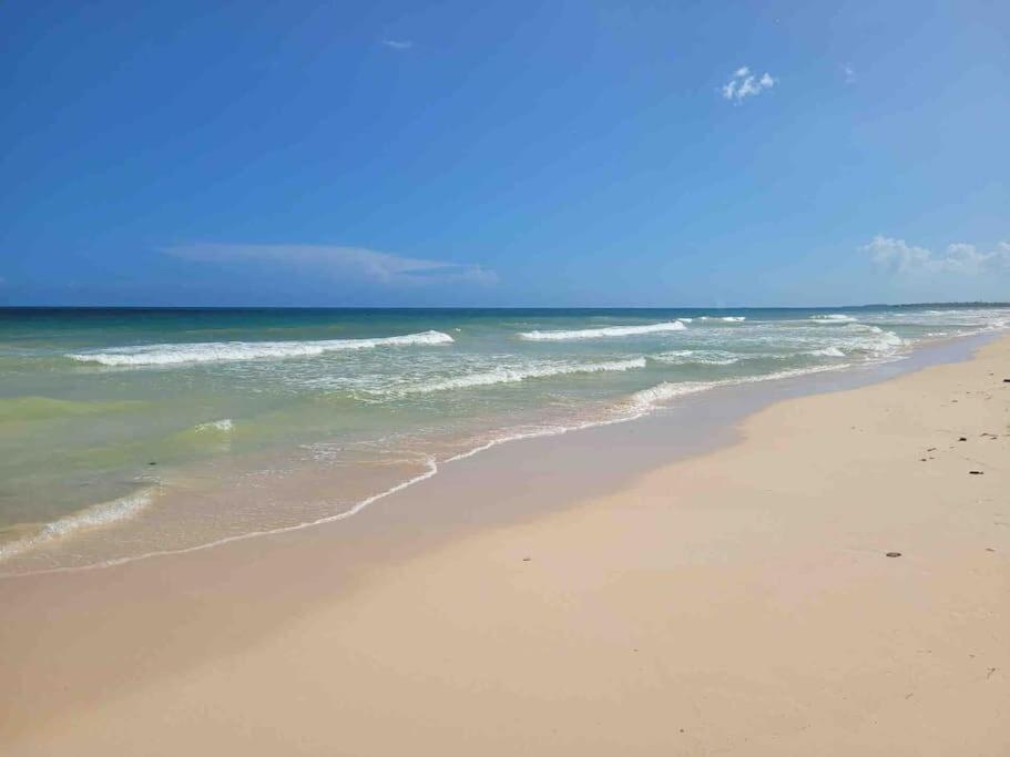 Luxury 5-Br Beachfront Home In Tulum Casa Sofia Gato Zewnętrze zdjęcie