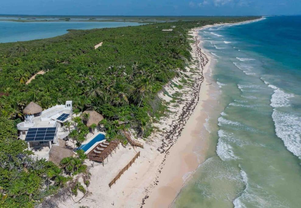Luxury 5-Br Beachfront Home In Tulum Casa Sofia Gato Zewnętrze zdjęcie