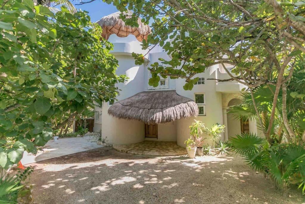 Luxury 5-Br Beachfront Home In Tulum Casa Sofia Gato Zewnętrze zdjęcie